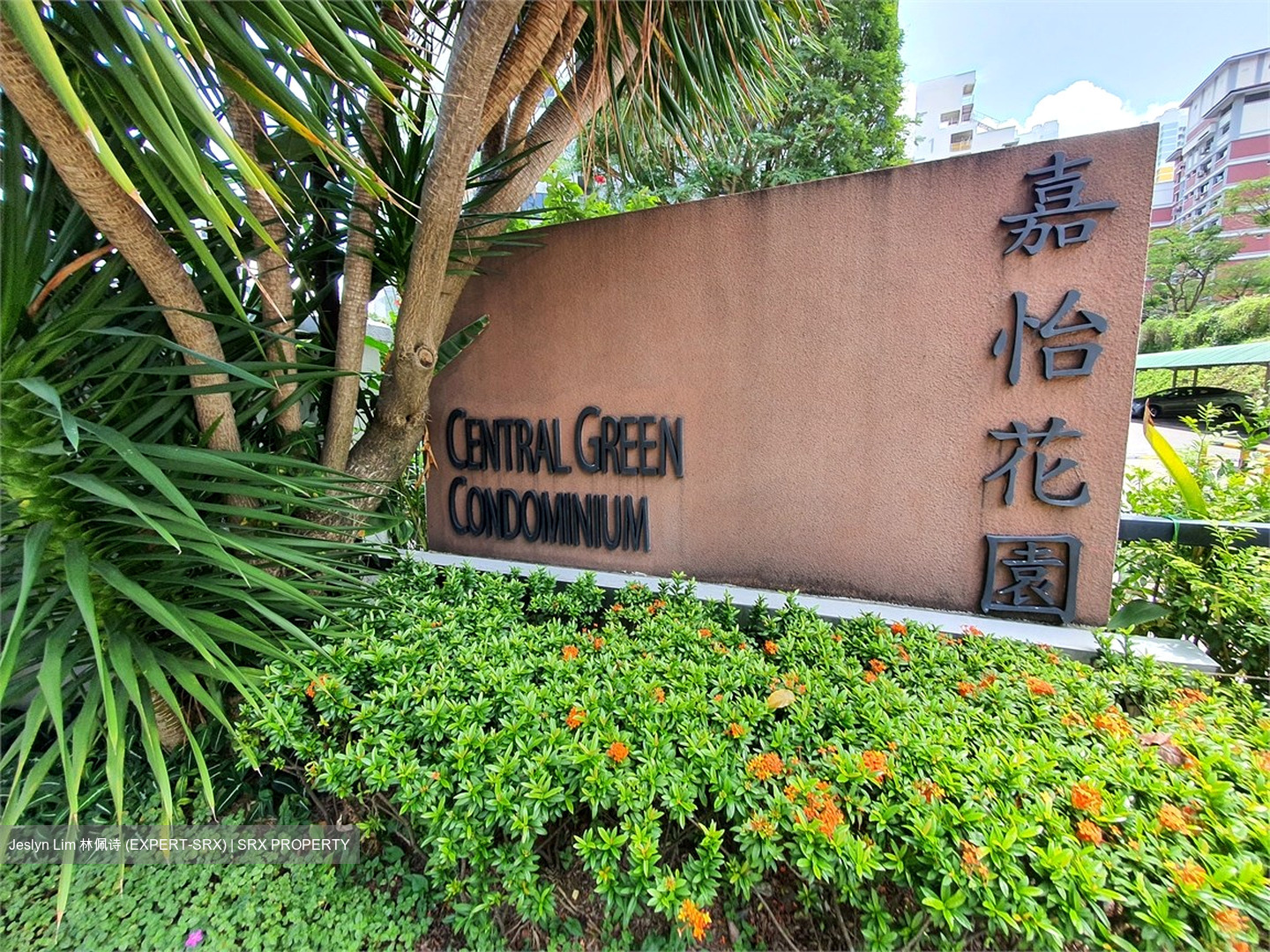 Central Green Condominium (D3), Condominium #579789931